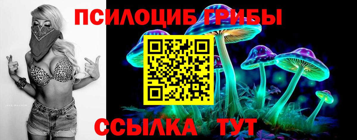 Галлюциногенные грибы Magic Shrooms  Вход с VPN  как найти наркотики  Белорецк 